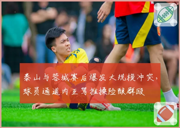 泰山与蓉城赛后爆发大规模冲突，球员通道内互骂推搡险酿群殴