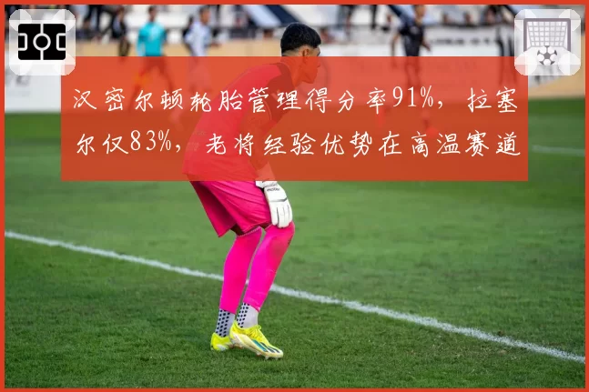 汉密尔顿轮胎管理得分率91%，拉塞尔仅83%，老将经验优势在高温赛道凸显